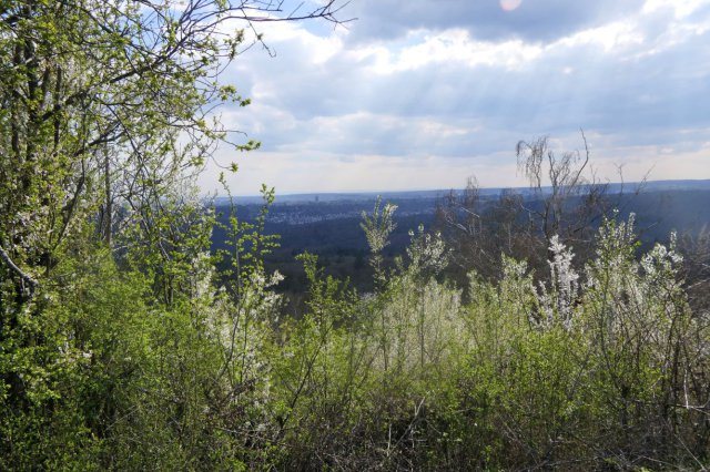 p1060575easy fotok.jpg